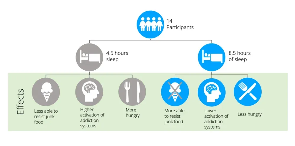 Graph showing consequences of sleep deprivation